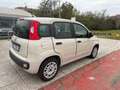 Fiat Panda Panda III 2012 1.2 Pop 69cv E6 Beige - thumbnail 2