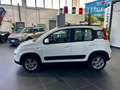 Fiat Panda 1.3 MJT 95 CV S&S 4x4 Bianco - thumbnail 8