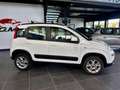 Fiat Panda 1.3 MJT 95 CV S&S 4x4 Bianco - thumbnail 4