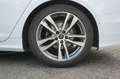 Audi A6 Avant 40 S Line 2.0 TDI 16V Mild Hybrid S-Tronic7 Bianco - thumbnail 39