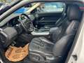 Land Rover Range Rover Evoque Dynamic 2,2 TD4 Blanc - thumbnail 12