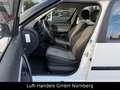 Skoda Roomster Active Plus Edition 1.2 Klima 1.Hand Bianco - thumbnail 8