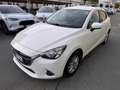 Mazda 2 2 III 2015 1.5 Evolve 75cv my17 Bianco - thumbnail 4