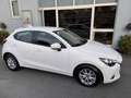Mazda 2 2 III 2015 1.5 Evolve 75cv my17 Bianco - thumbnail 6
