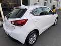 Mazda 2 2 III 2015 1.5 Evolve 75cv my17 Bianco - thumbnail 5