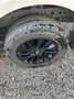 Nissan Navara nguard 4wd 190cv auto E6   IVA compresa Bianco - thumbnail 5
