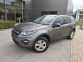 Land Rover Discovery Sport Pure, Allrad, Automatik Grau - thumbnail 1