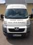 Peugeot Boxer Boxer HDi 335 L2 - thumbnail 2