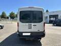 Ford Transit Kasten 2.2 TDCi 350 L2 RWD Trend AHK Blanc - thumbnail 11
