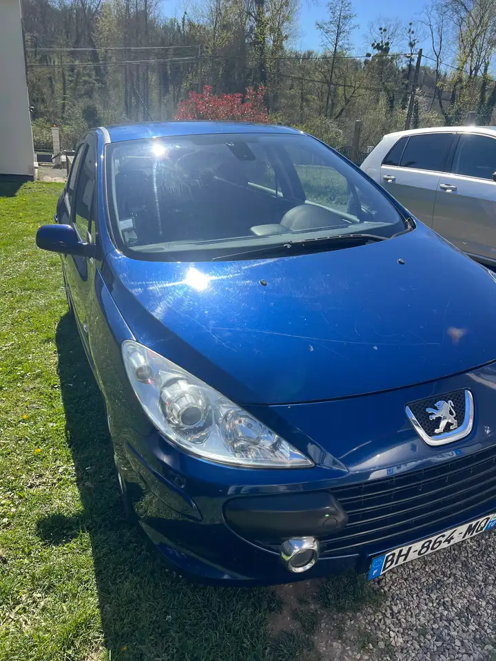 Peugeot 307 1.6e 16V Sport