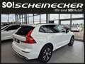Volvo XC60 T6 AWD Recharge PHEV R-Design Expression Geartr... Weiß - thumbnail 4