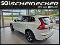 Volvo XC60 T6 AWD Recharge PHEV R-Design Expression Geartr... Weiß - thumbnail 3