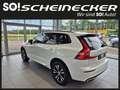 Volvo XC60 T6 AWD Recharge PHEV R-Design Expression Geartr... Blanc - thumbnail 3