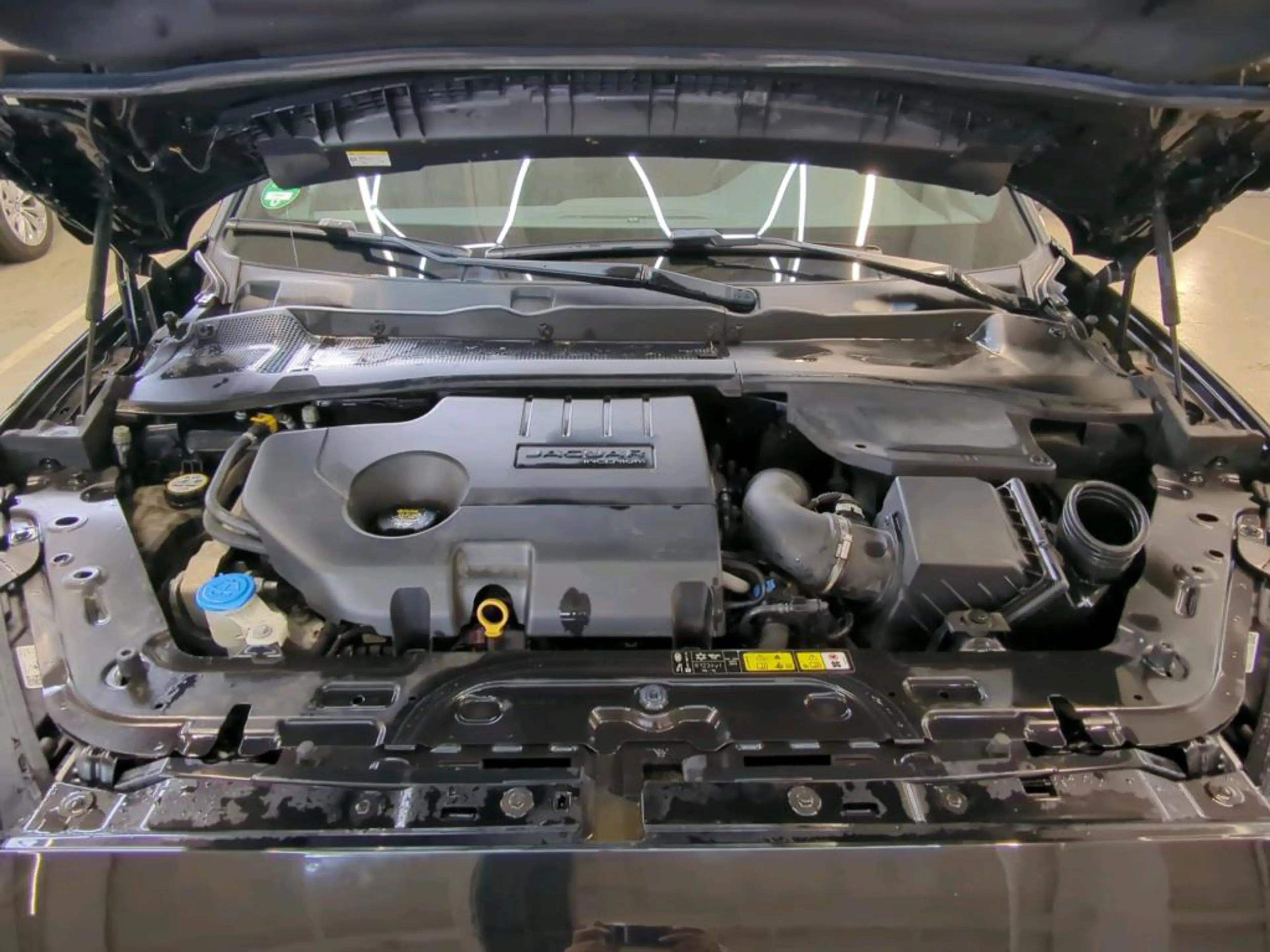 Jaguar E-Pace — photo 12