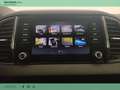 Skoda Karoq 2.0 TDI evo Executive 115 CV DSG Zilver - thumbnail 18