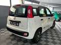 Fiat Panda 1.2i Young 1er propriétaire garantie 12 mois Wit - thumbnail 5