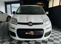 Fiat Panda 1.2i Young 1er propriétaire garantie 12 mois Blanc - thumbnail 20