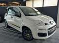 Fiat Panda 1.2i Young 1er propriétaire garantie 12 mois Wit - thumbnail 4