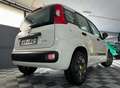 Fiat Panda 1.2i Young 1er propriétaire garantie 12 mois Blanc - thumbnail 18