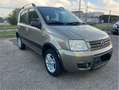 Fiat Panda 1.2 natural power Dynamic Bronzo - thumbnail 1