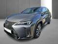 Lexus UX 250h F SPORT Design Gris - thumbnail 4