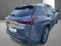 Lexus UX 250h F SPORT Design Gris - thumbnail 23