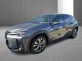 Lexus UX 250h F SPORT Design Gris - thumbnail 30