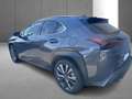 Lexus UX 250h F SPORT Design Gris - thumbnail 26