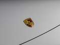 Porsche 911 911 Carrera Cabrio - thumbnail 10
