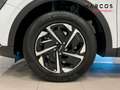 Kia Sportage 1.6 T-GDi HEV 171kW (230CV) Drive 4x2 Weiß - thumbnail 12