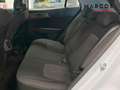 Kia Sportage 1.6 T-GDi HEV 171kW (230CV) Drive 4x2 Weiß - thumbnail 7