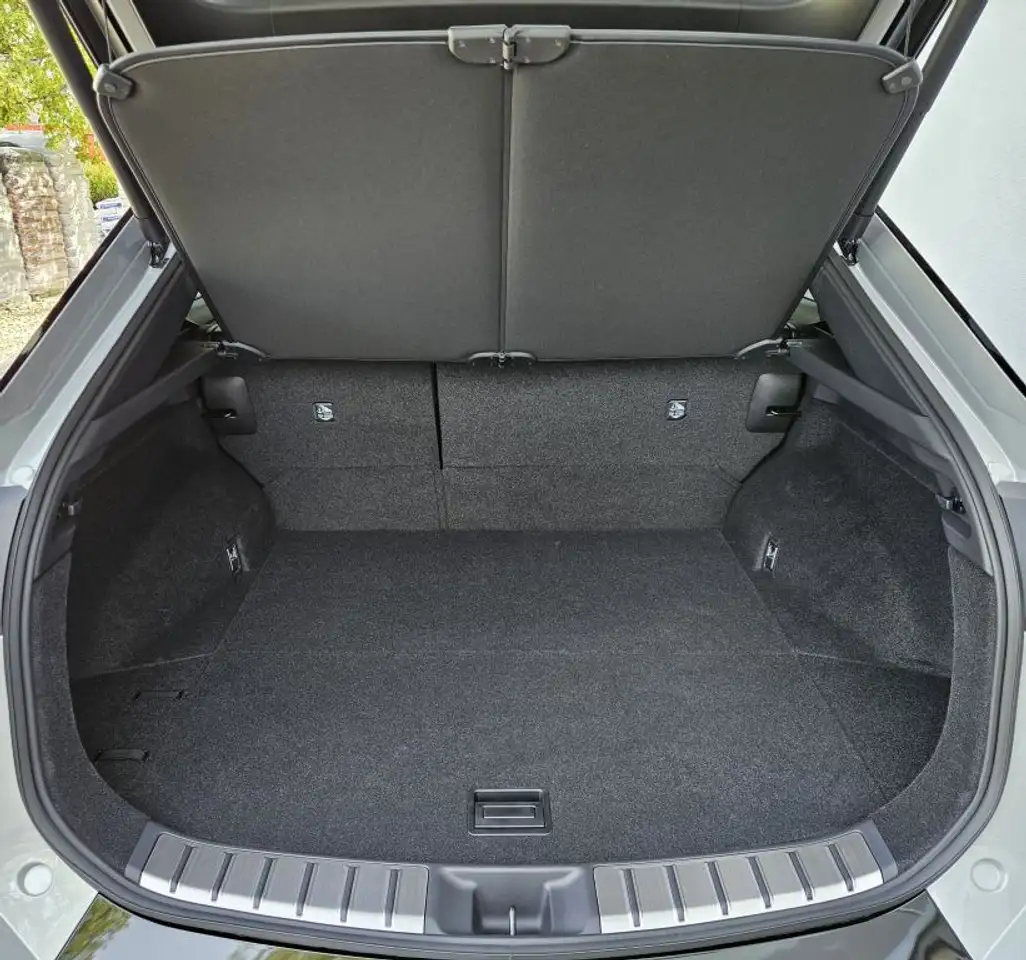 Lexus RZ 550e F SPORT 14