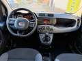 Fiat Panda 1.2 Lounge Grigio - thumbnail 12