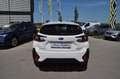 Subaru Crosstrek 2.0ie Comfort 2.0ie EU6d Comfort (Mild-Hybrid) Weiß - thumbnail 6