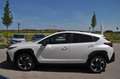 Subaru Crosstrek 2.0ie Comfort 2.0ie EU6d Comfort (Mild-Hybrid) Weiß - thumbnail 10
