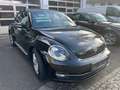 Volkswagen Beetle Lim. 2.0 TDI, Design, Bi-Xenon, DSG Schwarz - thumbnail 3