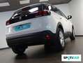 Peugeot 3008 1.2 PureTech 96KW S&S Active Pack Blanco - thumbnail 27