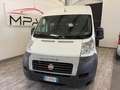 Fiat DUCATO X TRASPORTO DISABILI Bianco - thumbnail 2