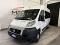 Fiat DUCATO X TRASPORTO DISABILI Bianco - thumbnail 4