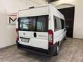 Fiat DUCATO X TRASPORTO DISABILI Bianco - thumbnail 5
