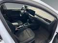 Ford Focus Turnier Titanium 1.0 EcoBoost AHK Navi LED   ACC A Weiß - thumbnail 7