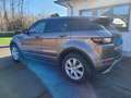 Rover Sonstige Evoque Beige - thumbnail 2