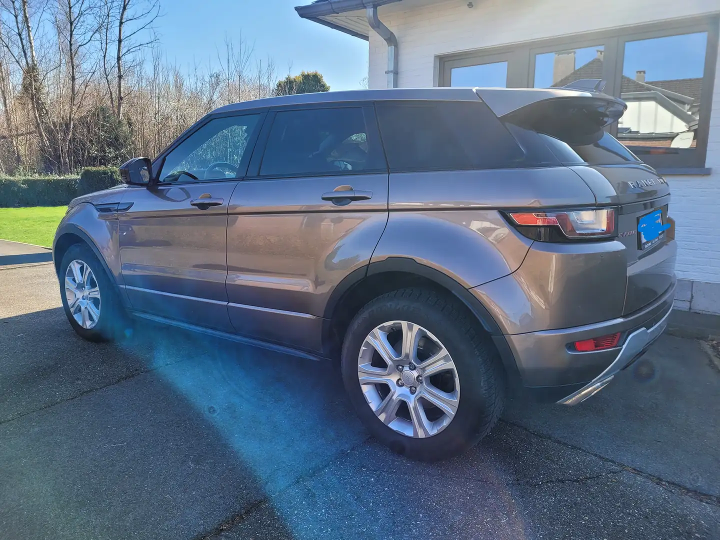Rover Sonstige Evoque Beige - 2