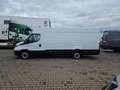 Iveco Daily 35S16V Weiß - thumbnail 7