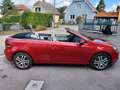 Volkswagen Golf Cabriolet Rot - thumbnail 10