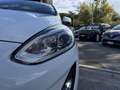 Ford Fiesta Fiesta VII 5p 1.5 tdci Plus 85cv my18 LEGGI NOTE ! Bianco - thumbnail 5