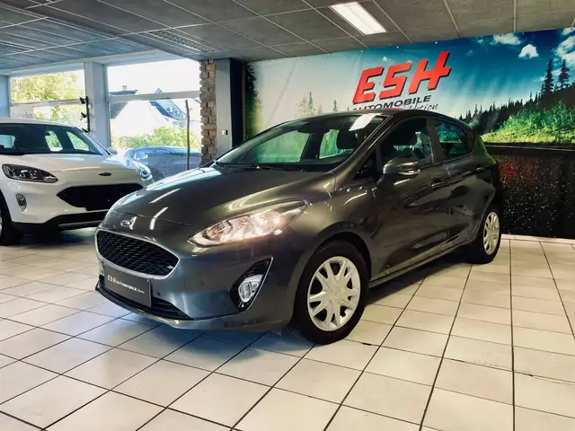 Ford Fiesta Fiesta 1.0 Eco 45000Km/1erPropr/BoiteAuto/GARANTIE 12 MOIS
