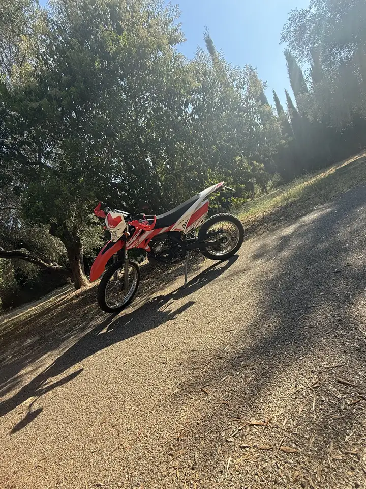 Beta RR 50