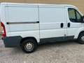 Citroen Jumper 30 L1H1 HDi (voll fahrbereit kein Pickerl) Weiß - thumbnail 2