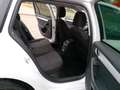 Skoda Octavia 1.2 TSI GRT AMB BNS Blanco - thumbnail 15